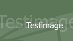 test