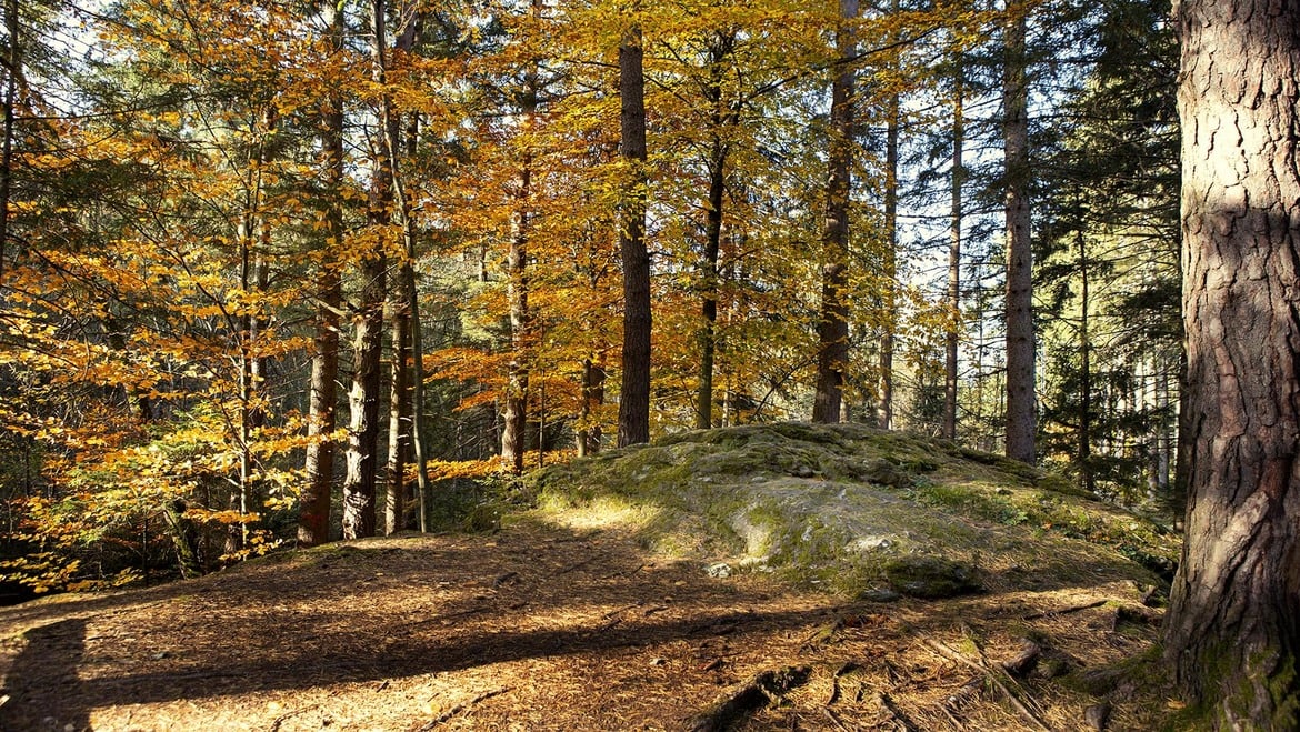 Schalenstein