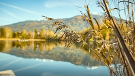 Lanser See
